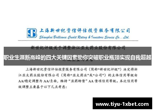 职业生涯新高峰的四大关键因素助你突破职业瓶颈实现自我超越