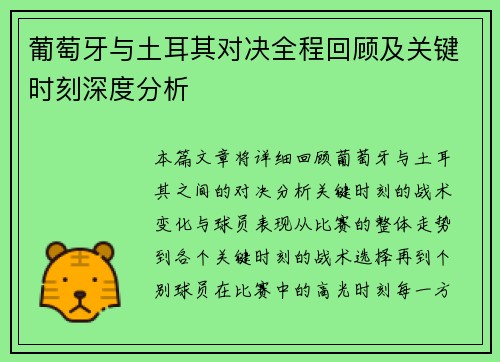 葡萄牙与土耳其对决全程回顾及关键时刻深度分析