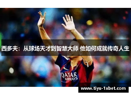 西多夫:从球场天才到智慧大师 他如何成就传奇人生 西多夫:从球场天才到智慧大师 他如何成就传奇人生