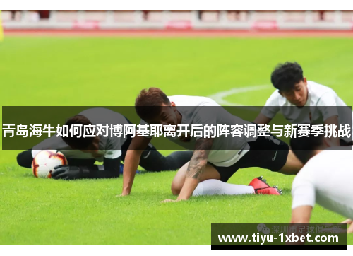 青岛海牛如何应对博阿基耶离开后的阵容调整与新赛季挑战 青岛海牛如何应对博阿基耶离开后的阵容调整与新赛季挑战