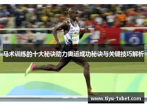 马术训练的十大秘诀助力奥运成功秘诀与关键技巧解析