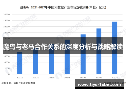 魔鸟与老马合作关系的深度分析与战略解读