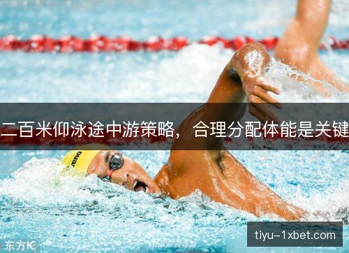 二百米仰泳途中游策略，合理分配体能是关键